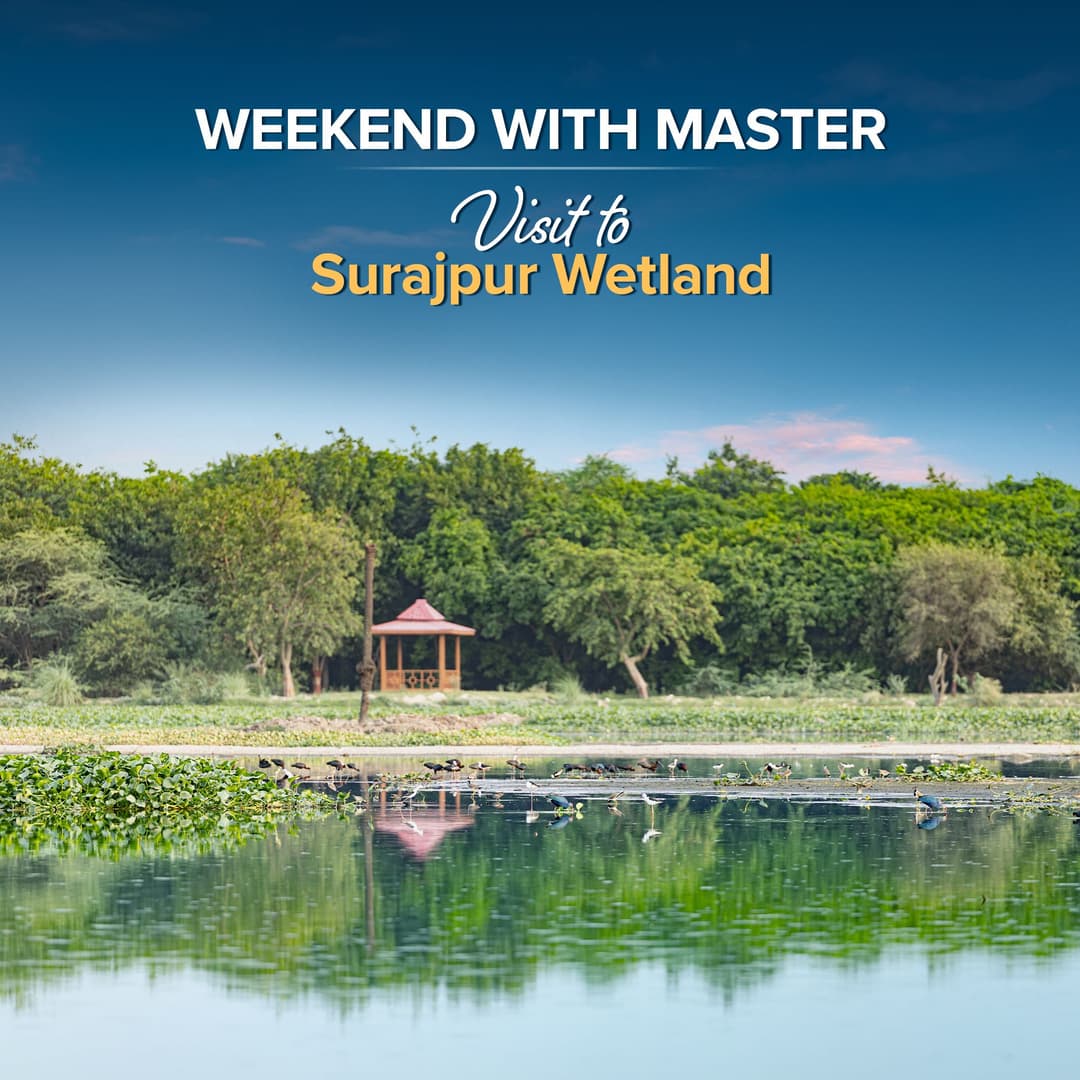 Weekend With Master | An Evening at Surajpur Wetland