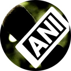 ANI