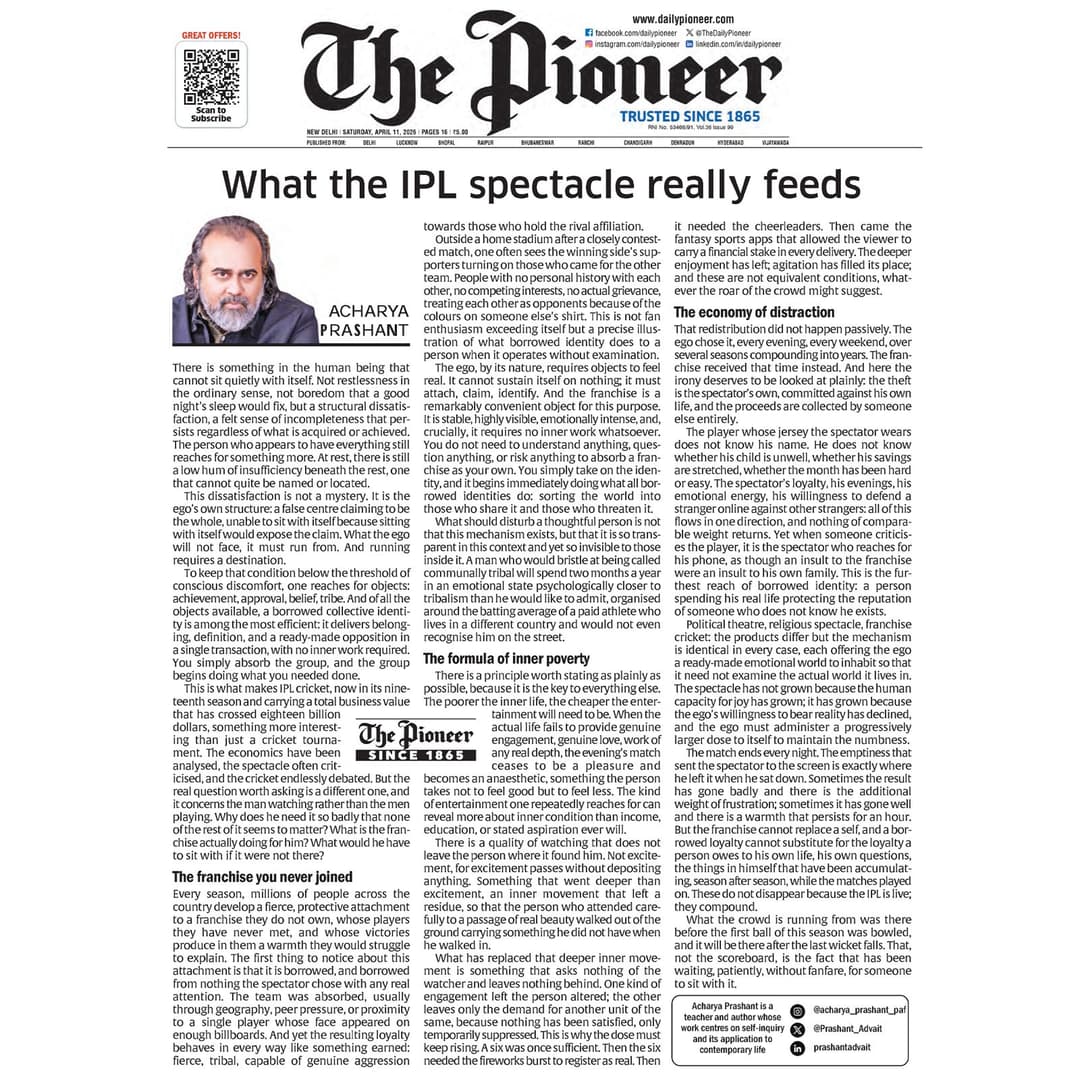 What the IPL Spectacle Really Feeds