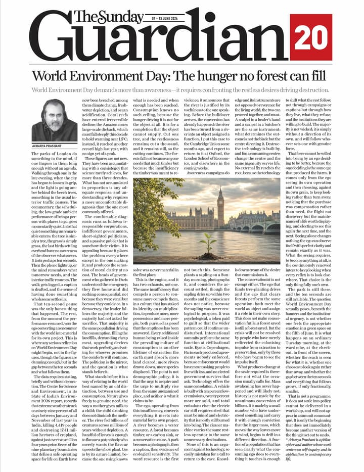 World Environment Day: The hunger no forest can fill