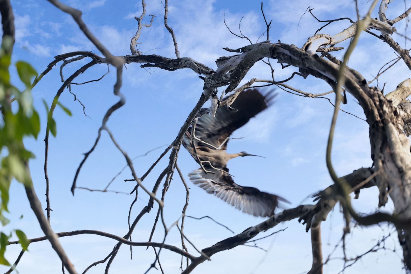 Weekend With Master | An Evening at Surajpur Wetland
