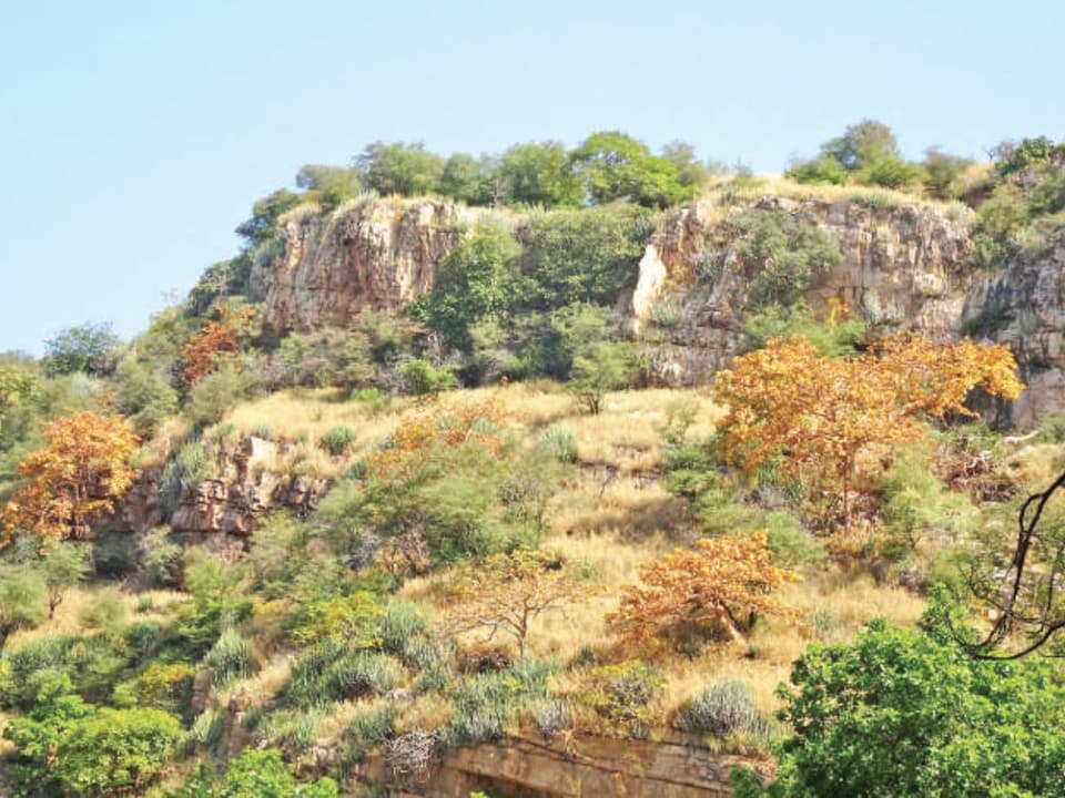The Aravalli Situation: When the Hills Become Negotiable