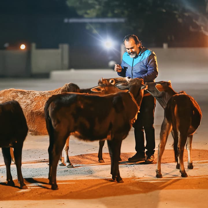 In every being, the same life breathes