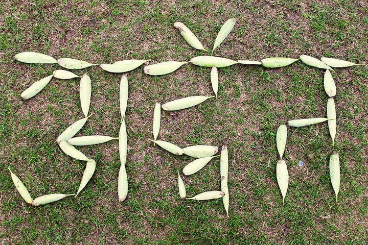 Advait written in ground with leaves