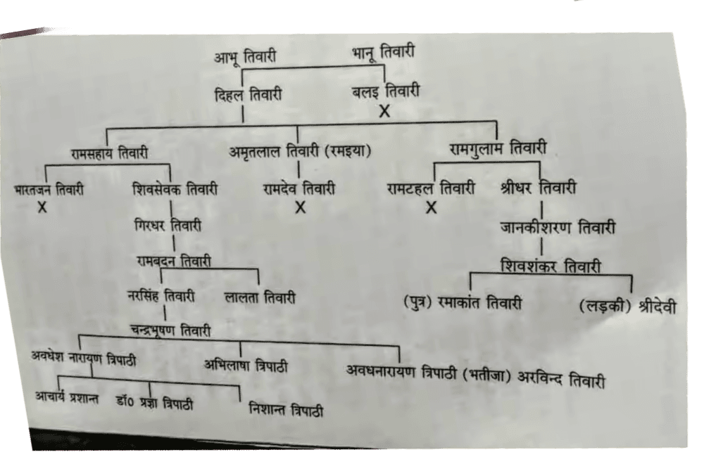 Lineage chart of Ramaiya Baba’s descendants