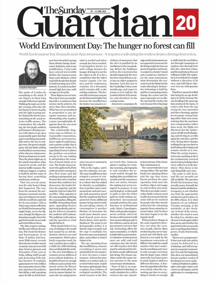 World Environment Day: The hunger no forest can fill