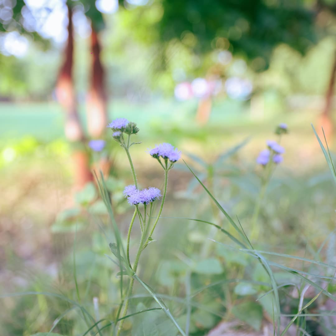 Surajpur Wetland | Weekend With Master